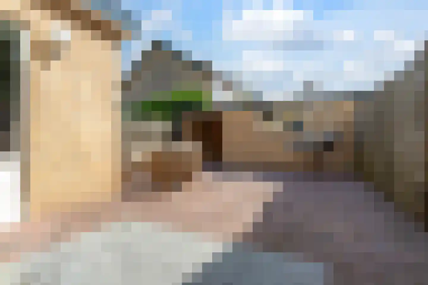 Spechtstraat 65 Ermelo thumbnail 29
