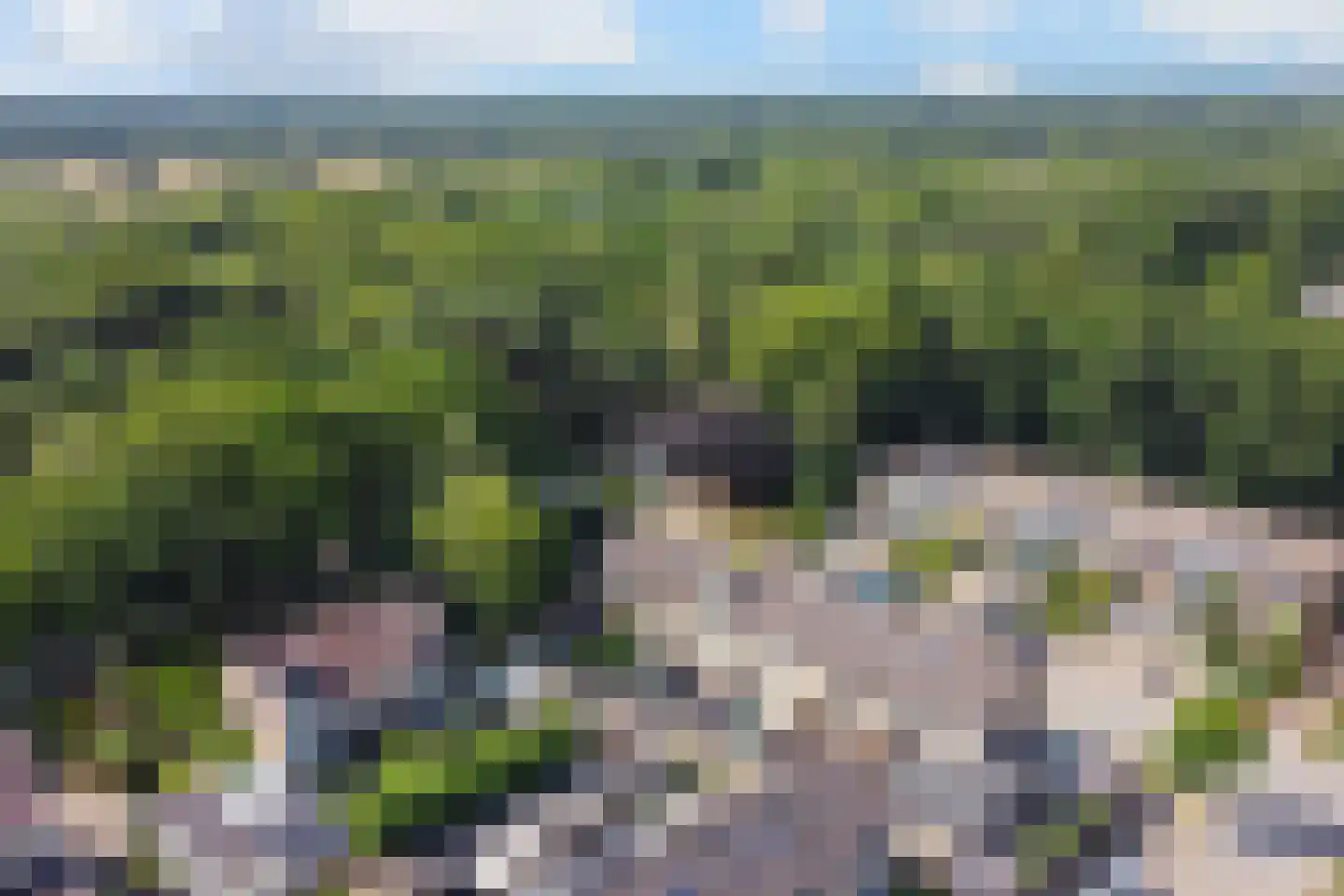 Spechtstraat 65 Ermelo thumbnail 35