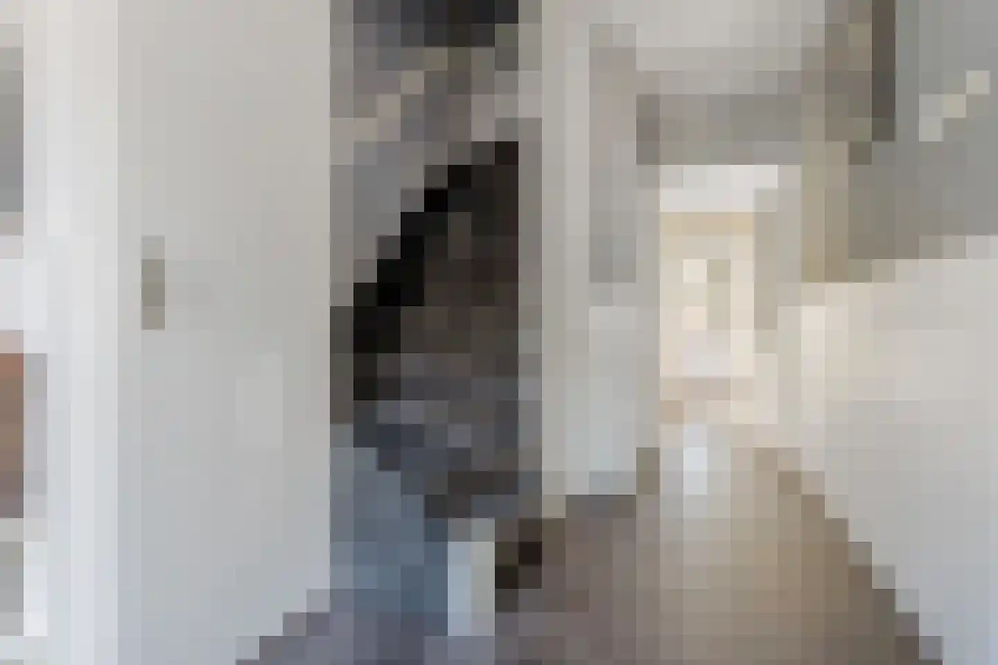 Spechtstraat 65 Ermelo thumbnail 6