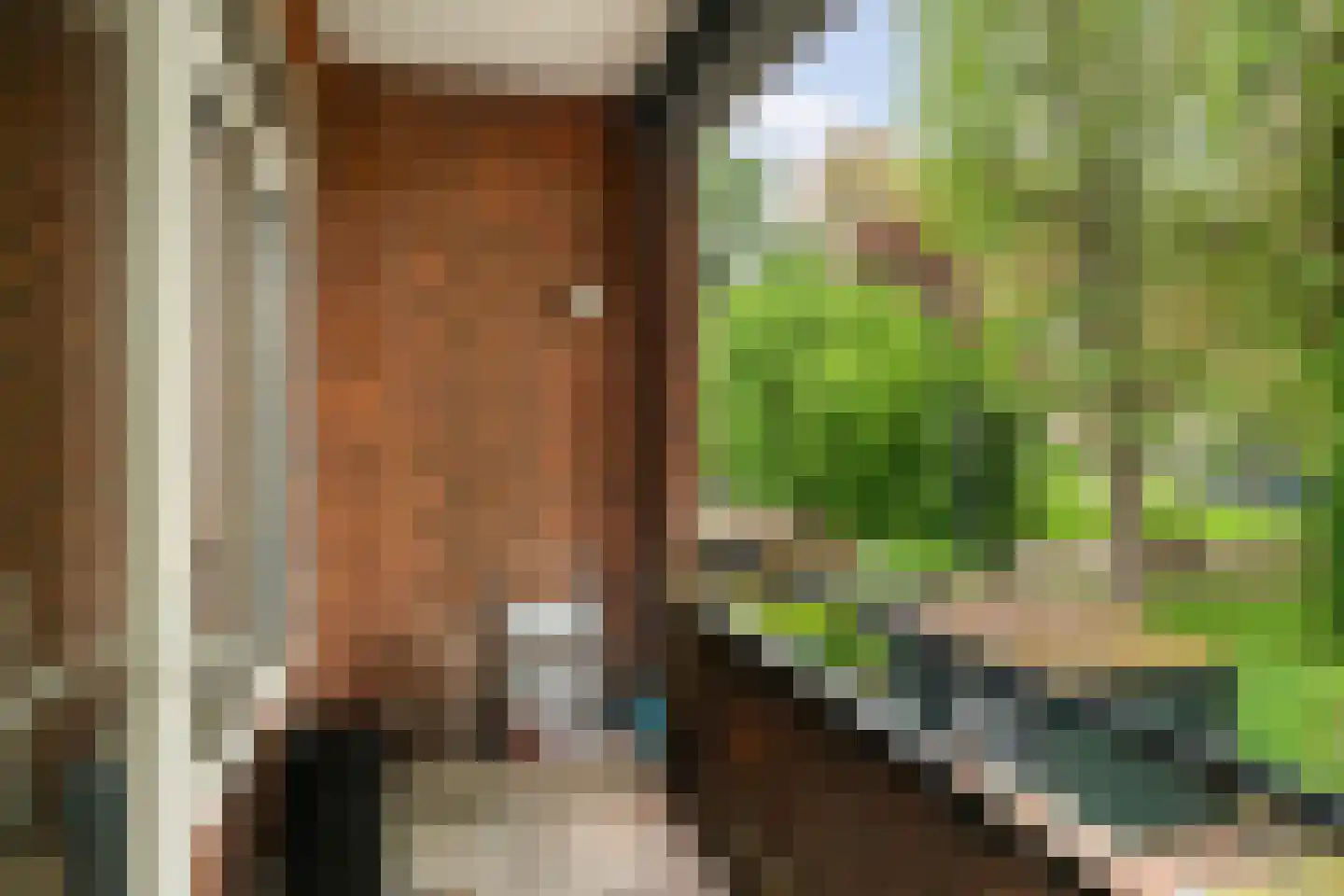 Spechtstraat 7 A Rotterdam thumbnail 20