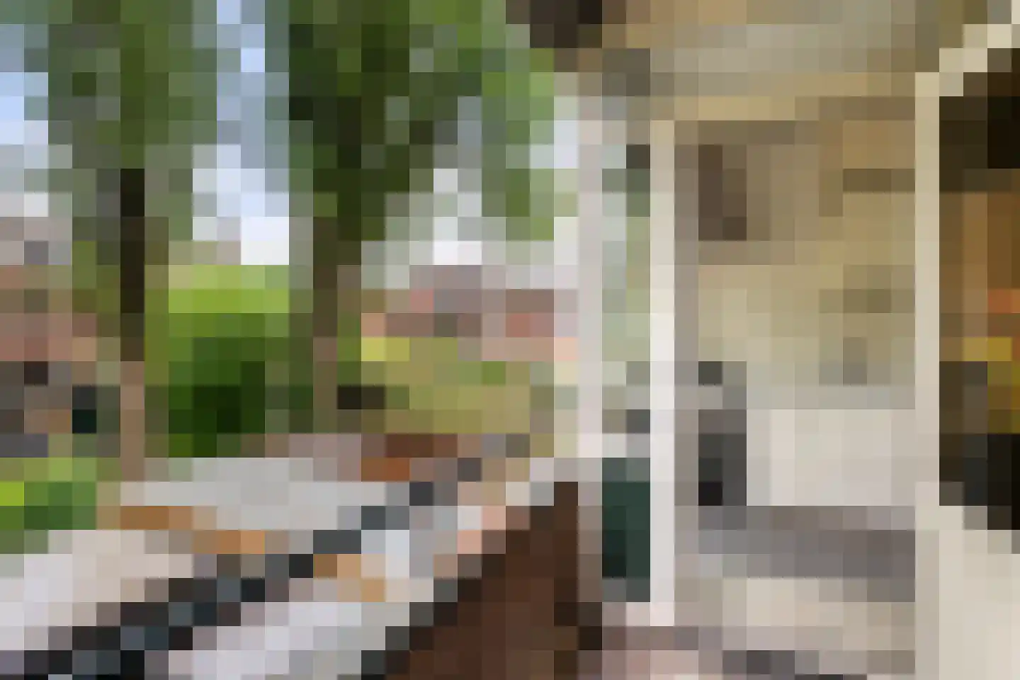 Spechtstraat 7 A Rotterdam thumbnail 21