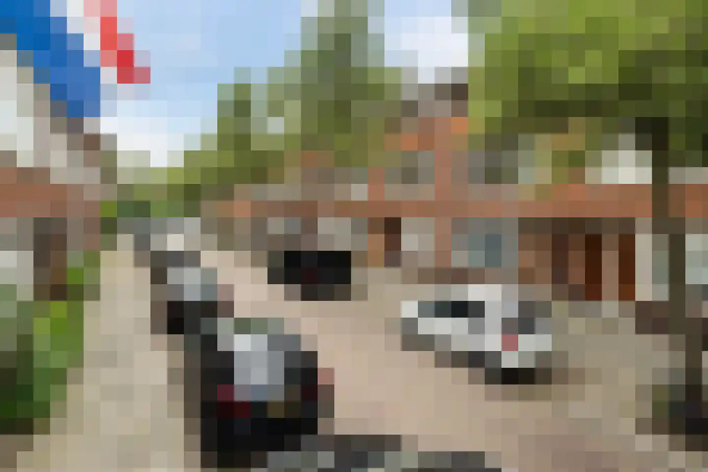 Spechtstraat 7 A Rotterdam thumbnail 28