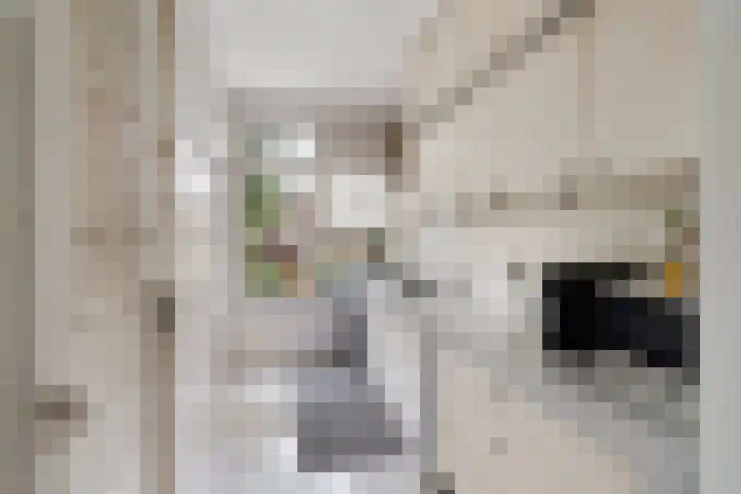 Spechtstraat 7 A Rotterdam thumbnail 8