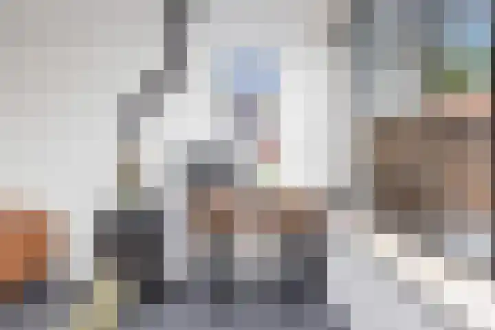 Spechtstraat 8 Spijkenisse thumbnail 15