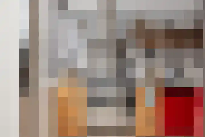 Spechtstraat 8 Spijkenisse thumbnail 17