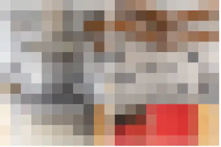 Spechtstraat 8 Spijkenisse thumbnail 18