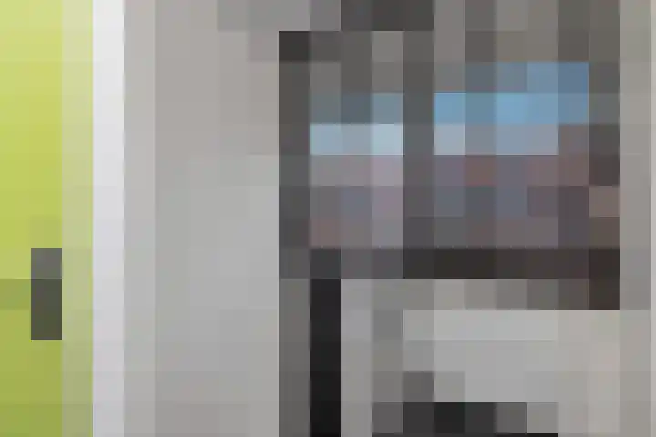 Spechtstraat 8 Spijkenisse thumbnail 19