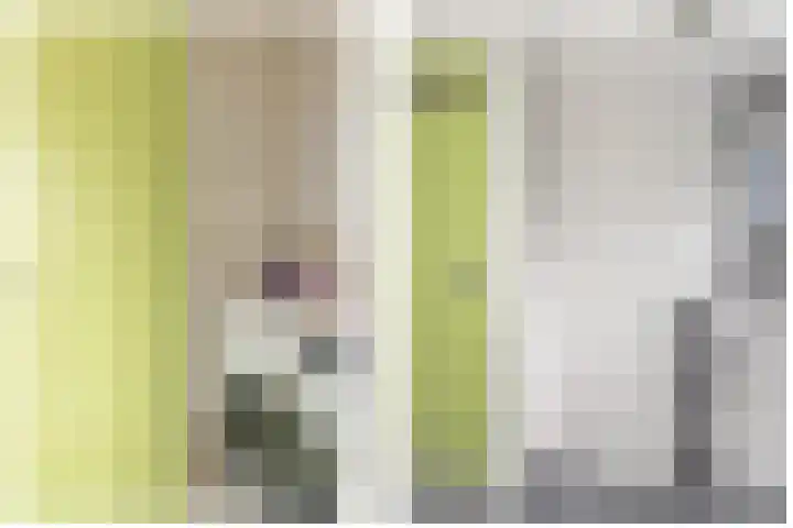 Spechtstraat 8 Spijkenisse thumbnail 20