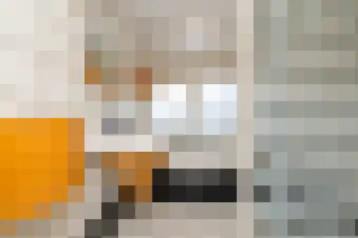 Spechtstraat 8 Spijkenisse thumbnail 21