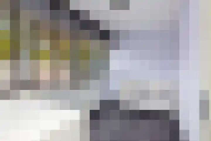 Spechtstraat 8 Spijkenisse thumbnail 24