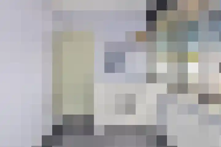 Spechtstraat 8 Spijkenisse thumbnail 25