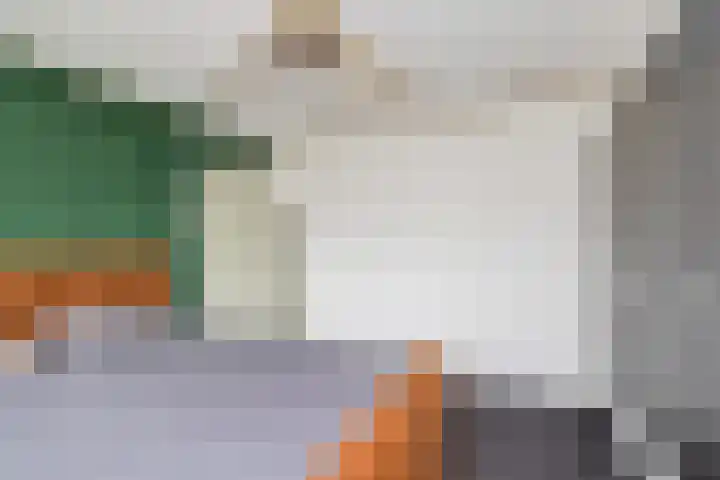 Spechtstraat 8 Spijkenisse thumbnail 26