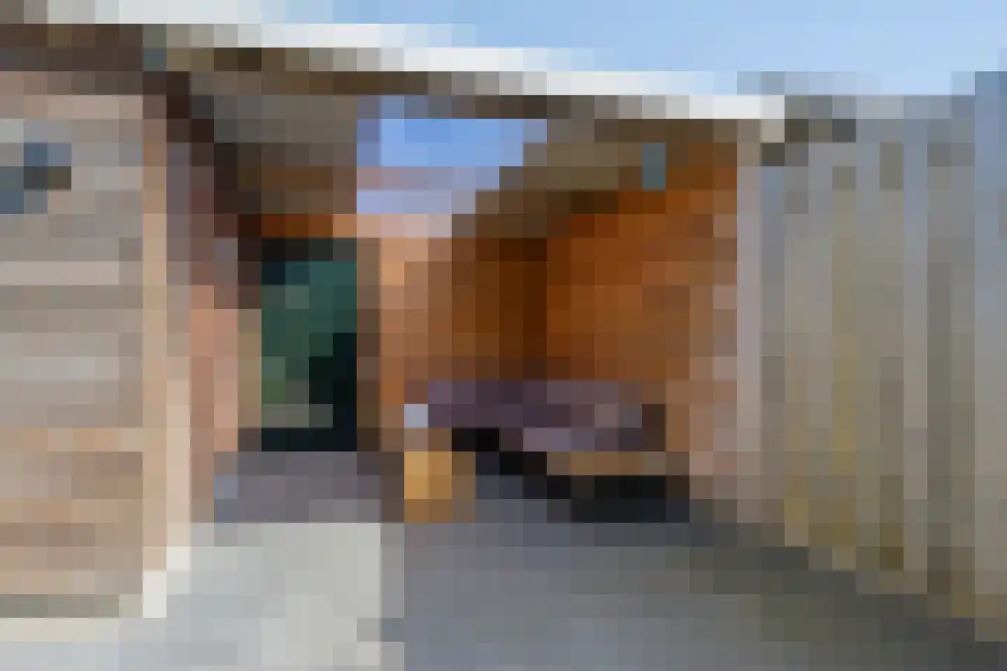 Spechtstraat 8 Winterswijk thumbnail 31