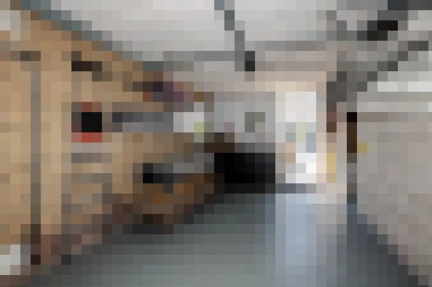 Spechtstraat 9 Noordwijkerhout thumbnail 31