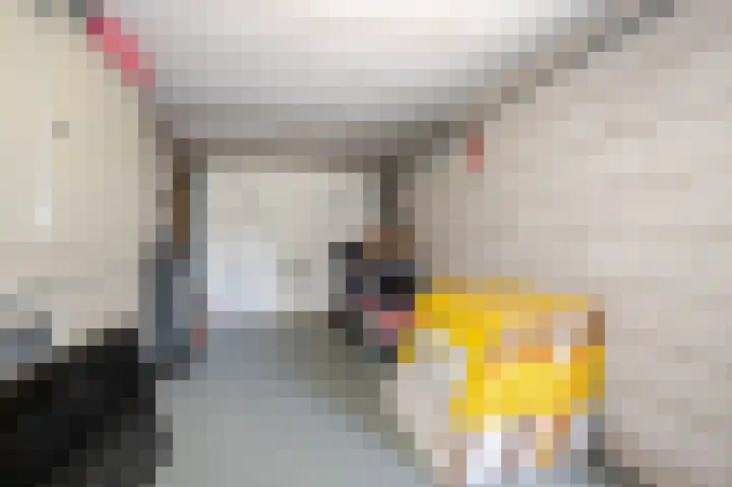 Spechtstraat 9 Noordwijkerhout thumbnail 32