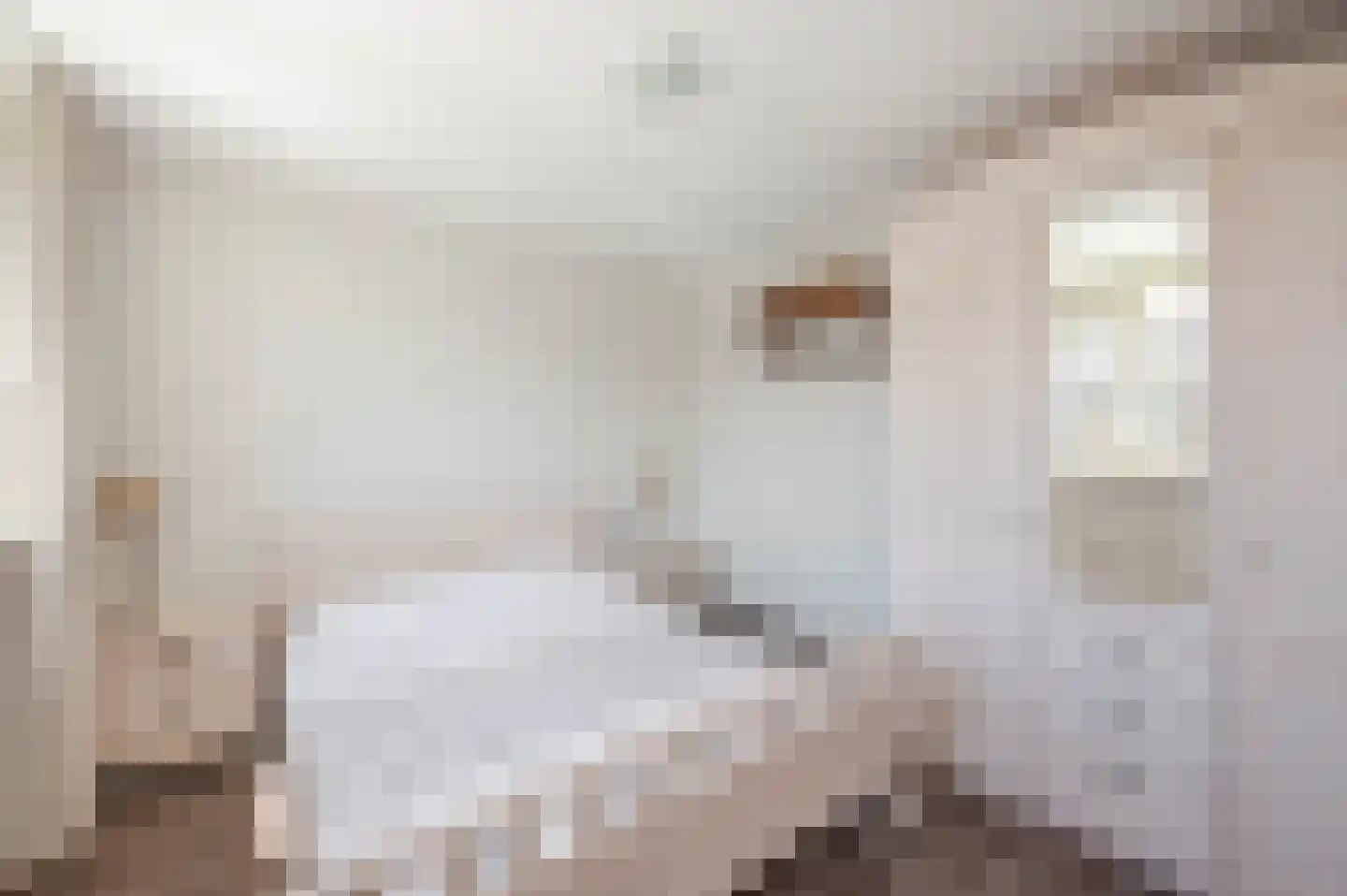 Spechtstraat 9 Noordwijkerhout thumbnail 48