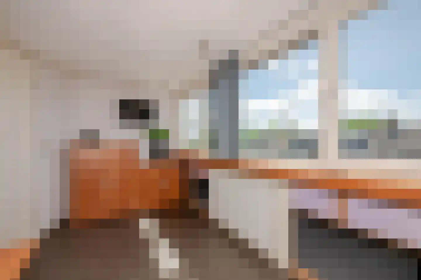 Spechtstraat 9 Noordwijkerhout thumbnail 66