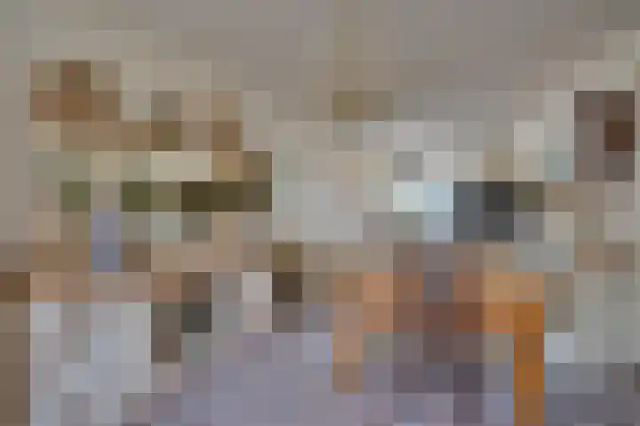 Spechtweg 10 Venlo thumbnail 4