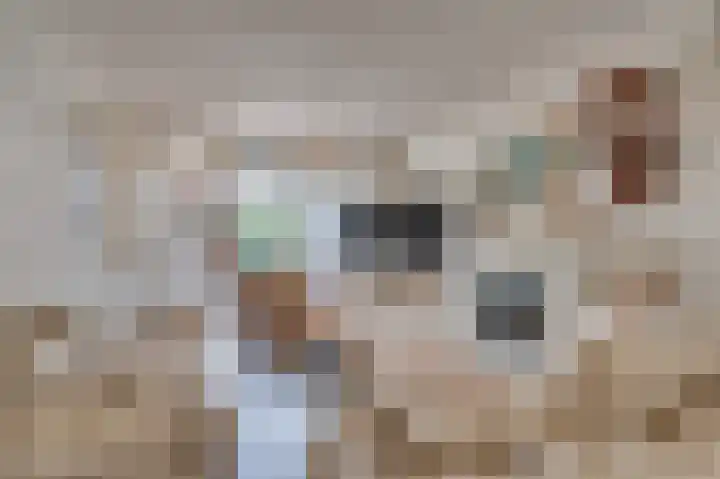 Spechtweg 10 Venlo thumbnail 5