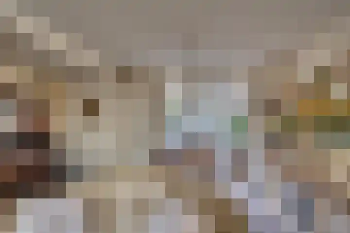 Spechtweg 10 Venlo thumbnail 8