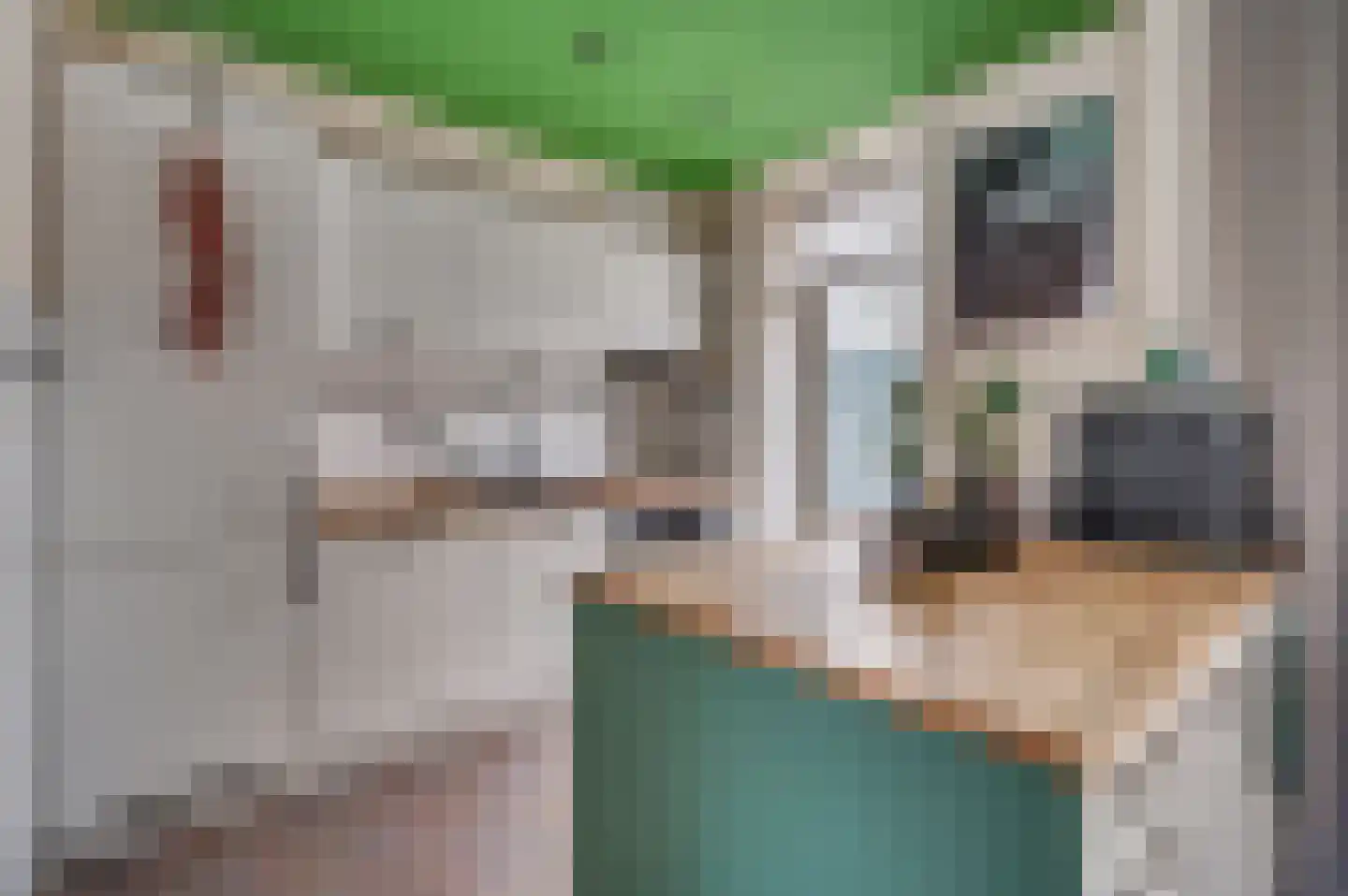 Spechtweg 12 Venlo thumbnail 13