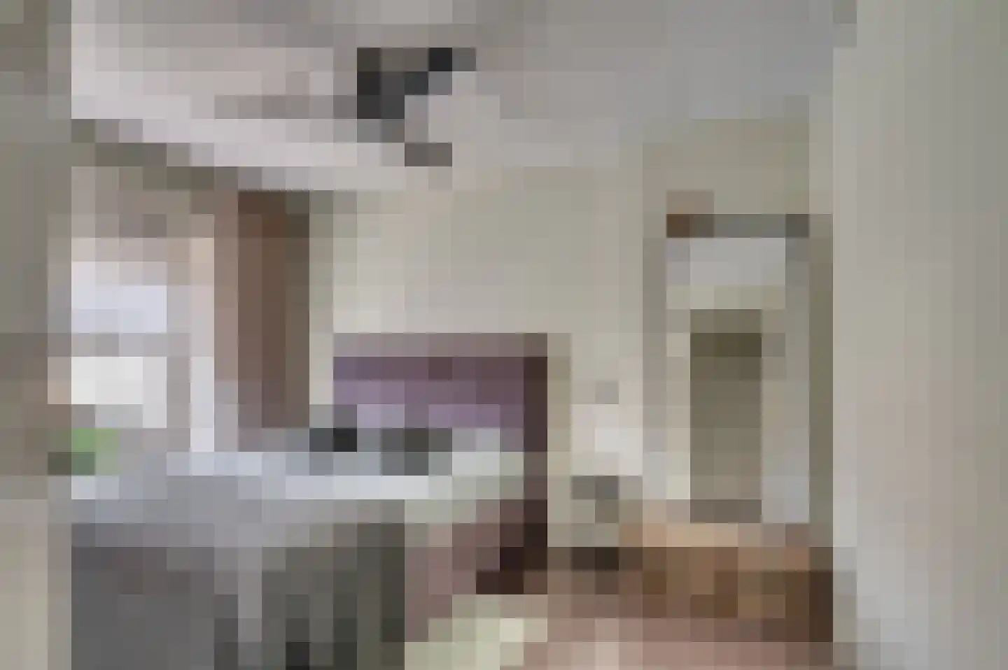 Spechtweg 12 Venlo thumbnail 20