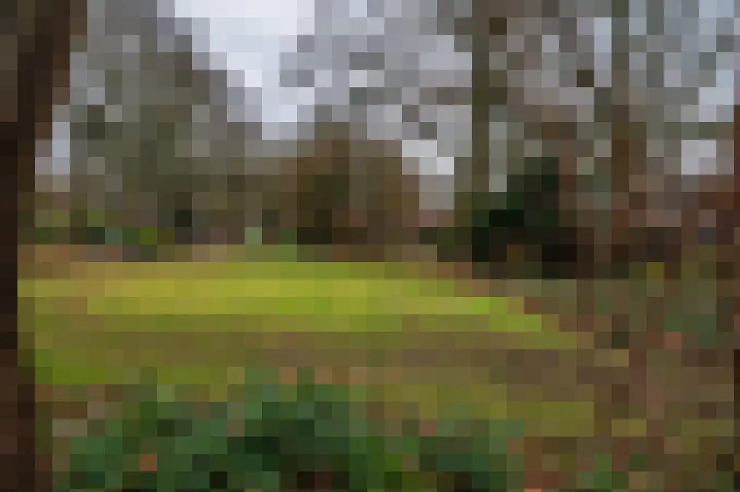 Spechtweg 12 Venlo thumbnail 37