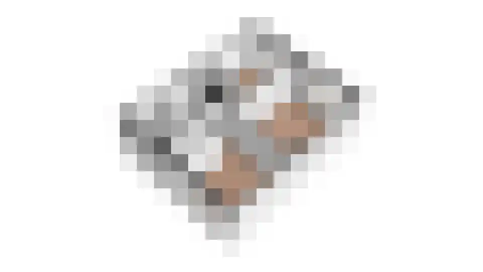 Spechtweg 12 Venlo thumbnail 43