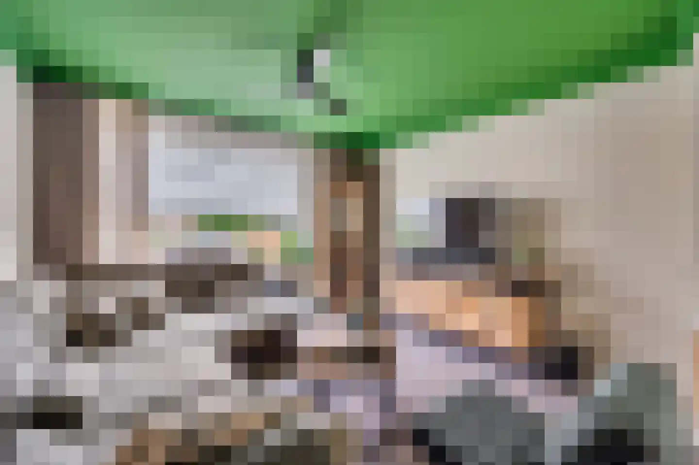 Spechtweg 12 Venlo thumbnail 8