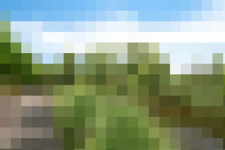 Spectrum 21 Heerhugowaard thumbnail 10