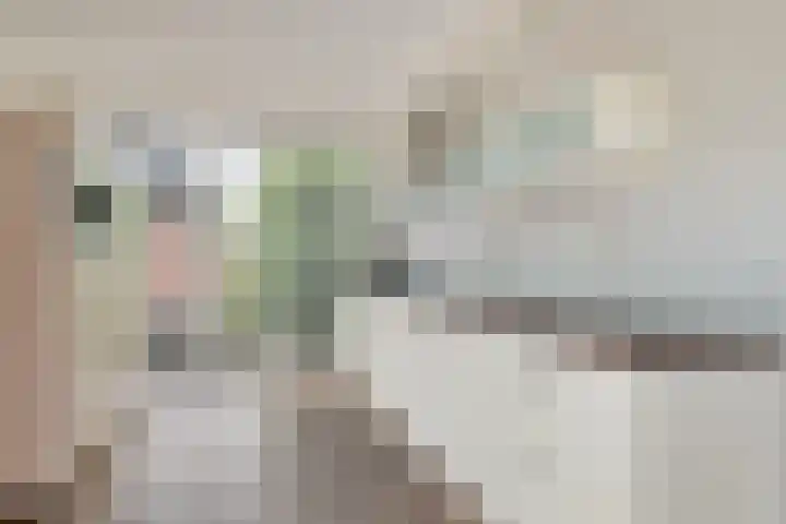 Spectrum 21 Heerhugowaard thumbnail 11