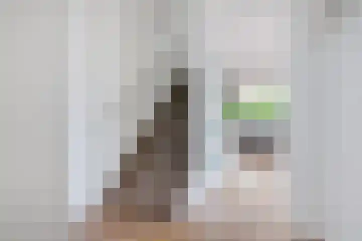 Spectrum 21 Heerhugowaard thumbnail 13