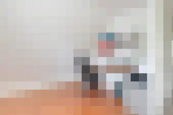 Spectrum 21 Heerhugowaard thumbnail 20
