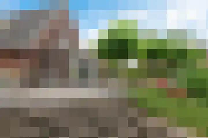 Spectrum 21 Heerhugowaard thumbnail 27