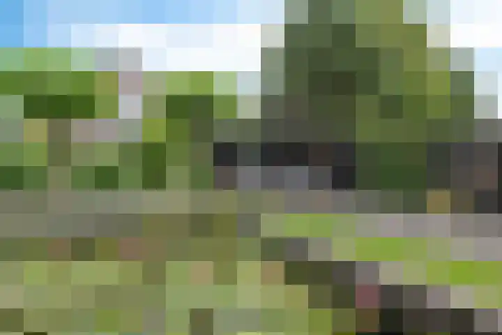 Spectrum 21 Heerhugowaard thumbnail 28