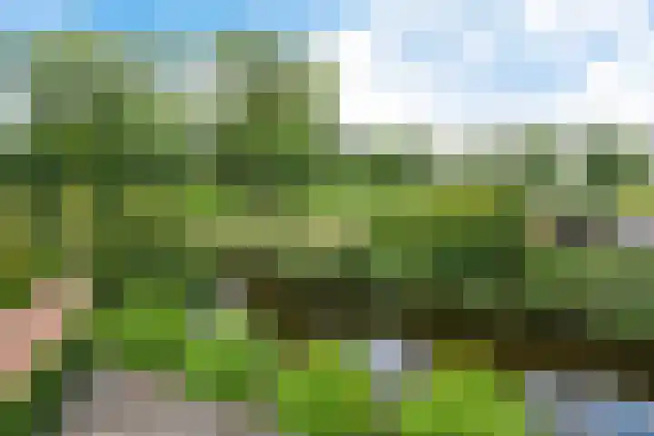Spectrum 21 Heerhugowaard thumbnail 29