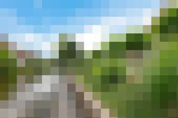 Spectrum 21 Heerhugowaard thumbnail 30