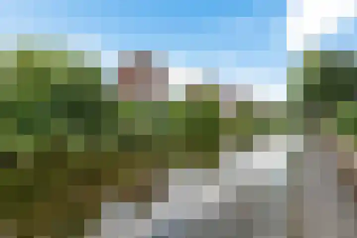 Spectrum 21 Heerhugowaard thumbnail 31