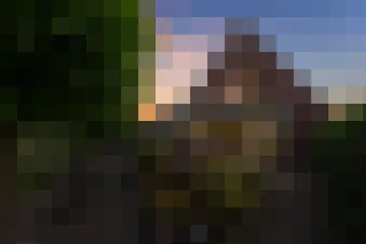 Spectrum 21 Heerhugowaard thumbnail 33