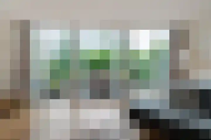 Spectrum 21 Heerhugowaard thumbnail 7