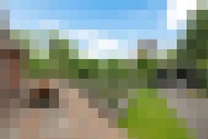 Spectrum 21 Heerhugowaard thumbnail 9
