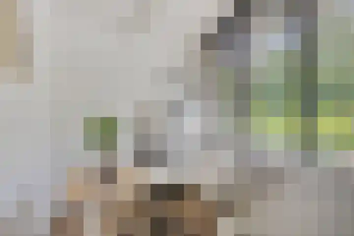 Spectrumsingel 11 Zoetermeer thumbnail 15