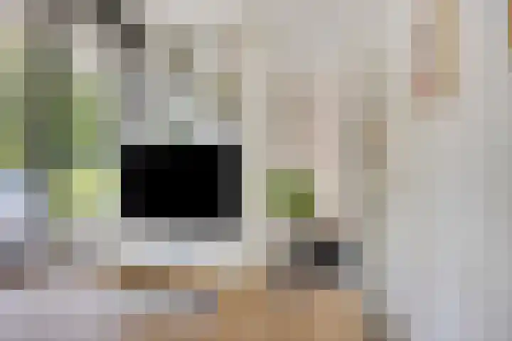 Spectrumsingel 11 Zoetermeer thumbnail 16