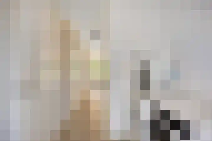 Spectrumsingel 11 Zoetermeer thumbnail 25