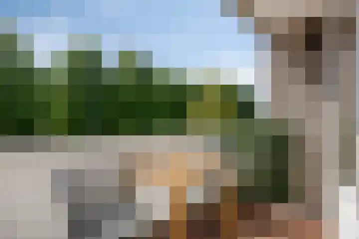 Spectrumsingel 11 Zoetermeer thumbnail 34