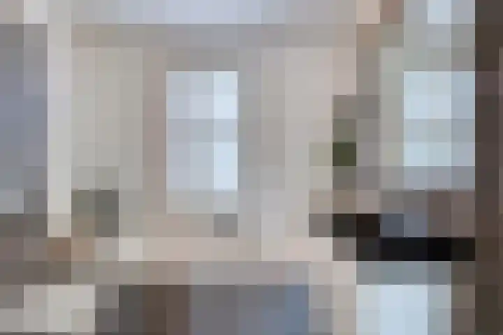 Spectrumsingel 11 Zoetermeer thumbnail 51
