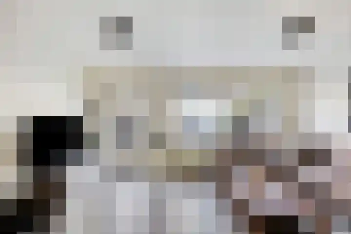 Spectrumsingel 147 Zoetermeer thumbnail 12