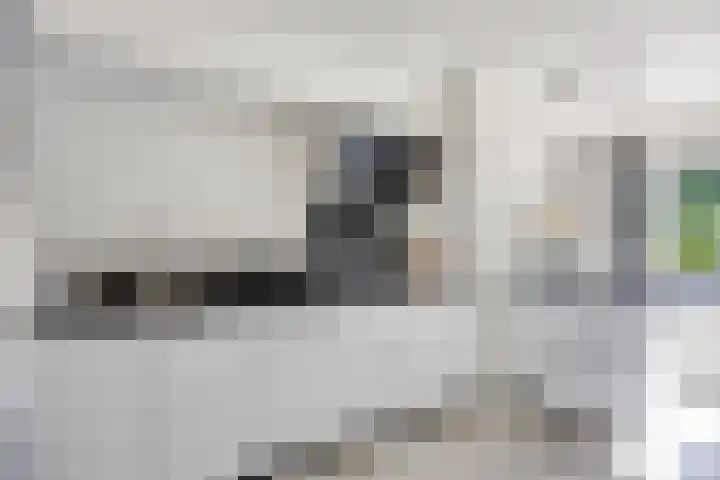 Spectrumsingel 147 Zoetermeer thumbnail 19