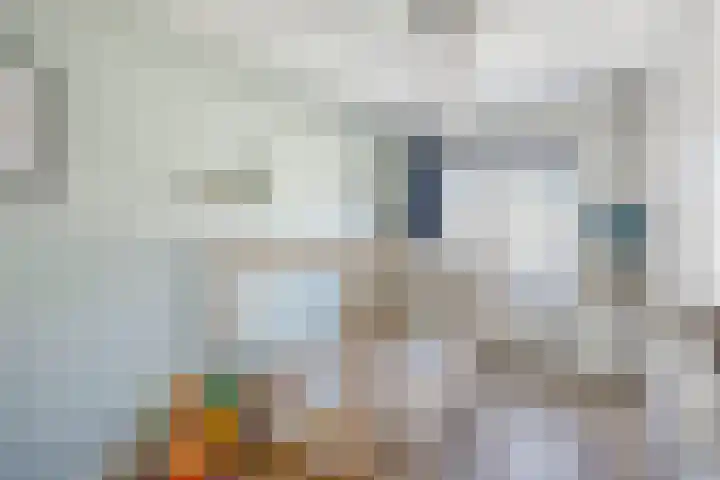 Spectrumsingel 147 Zoetermeer thumbnail 26