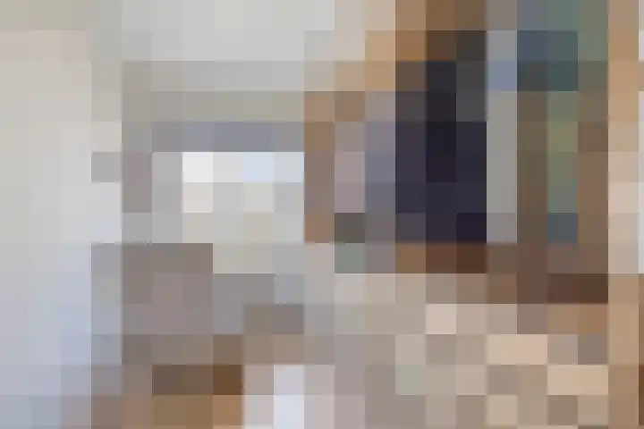 Spectrumsingel 147 Zoetermeer thumbnail 31